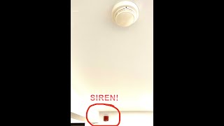 Home system test 4 | Simplex multi tone horn set to "siren" + Point labels in panel (December 2020) Profile
