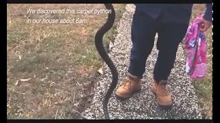 Celebrity We found a Carpet Python in our Home Net Worth