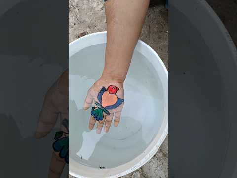 Creative 🤩 mini bird 🐦🕊️ drawing on water 💦 wow 😲 by floating pen #shorts #viral #art