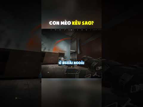 GIỜ THÌ TÔI DÃ BIẾT CON MÈO KÊU SAO