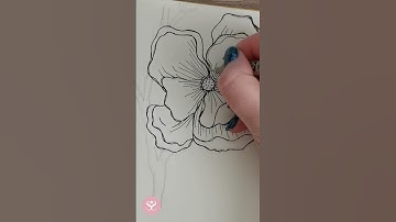 #shorts flower drawing painting time lapse