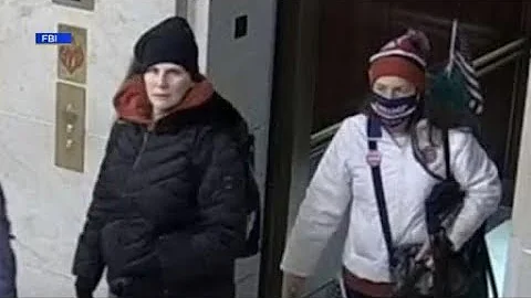 Two Illinois sisters sentenced to probation in U.S...
