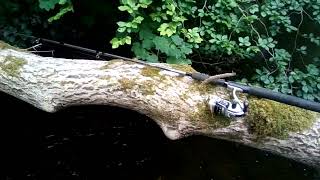 Trout fishing at the river mole ( north Devon area)
