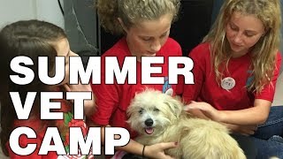 Summer Camp for Future Veterinarians