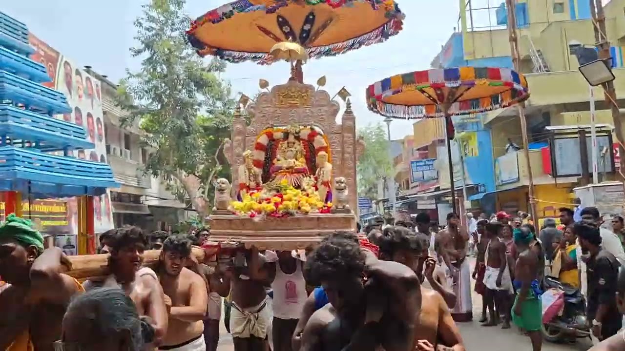 காஞ்சி காமாட்சி மஹாராணி திருக்கோலத்தில் வீதி உலா maharani thirukolathil kanchi kamachi