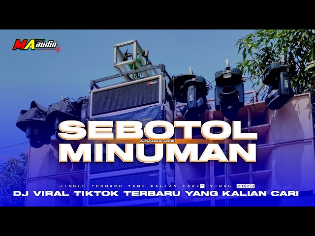 DJ SEBOTOL MINUMAN STYLE BASS NGUK PARTY •Dj viral TikTok terbaru• #maaudiolawang class=