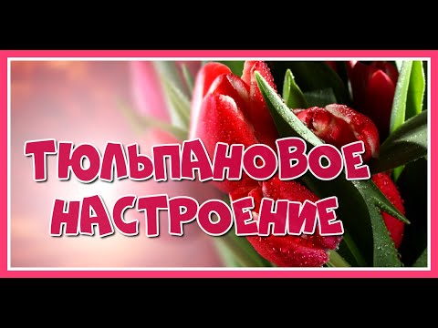 Весна! Тепла, радости, солнца и цветов! Мои друзья! Для вас, дорогие мои!' Тюльпановое настроение'