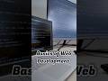 basics of web development in just 1 min #2023 #shorts #webdeveloper @muskanrani22