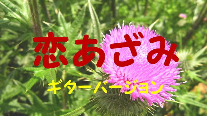 (Koi Azami, Japanese Enka song