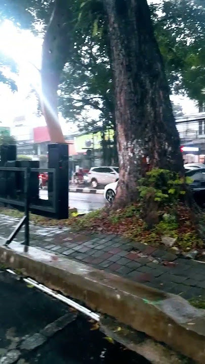 Bogor Cinematic #cinematic #youtubeshorts #shorts