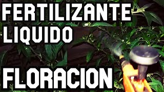 FERTILIZANTE LIQUIDO FOSFORO Y POTASIO con cascaras de PLATANO ESPECIAL para la FLORACION