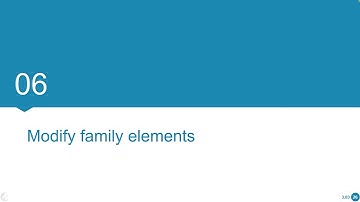 BPM course: 3. Advanced Automation | Modify family elements 3.03 06