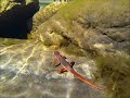 Beginning of video