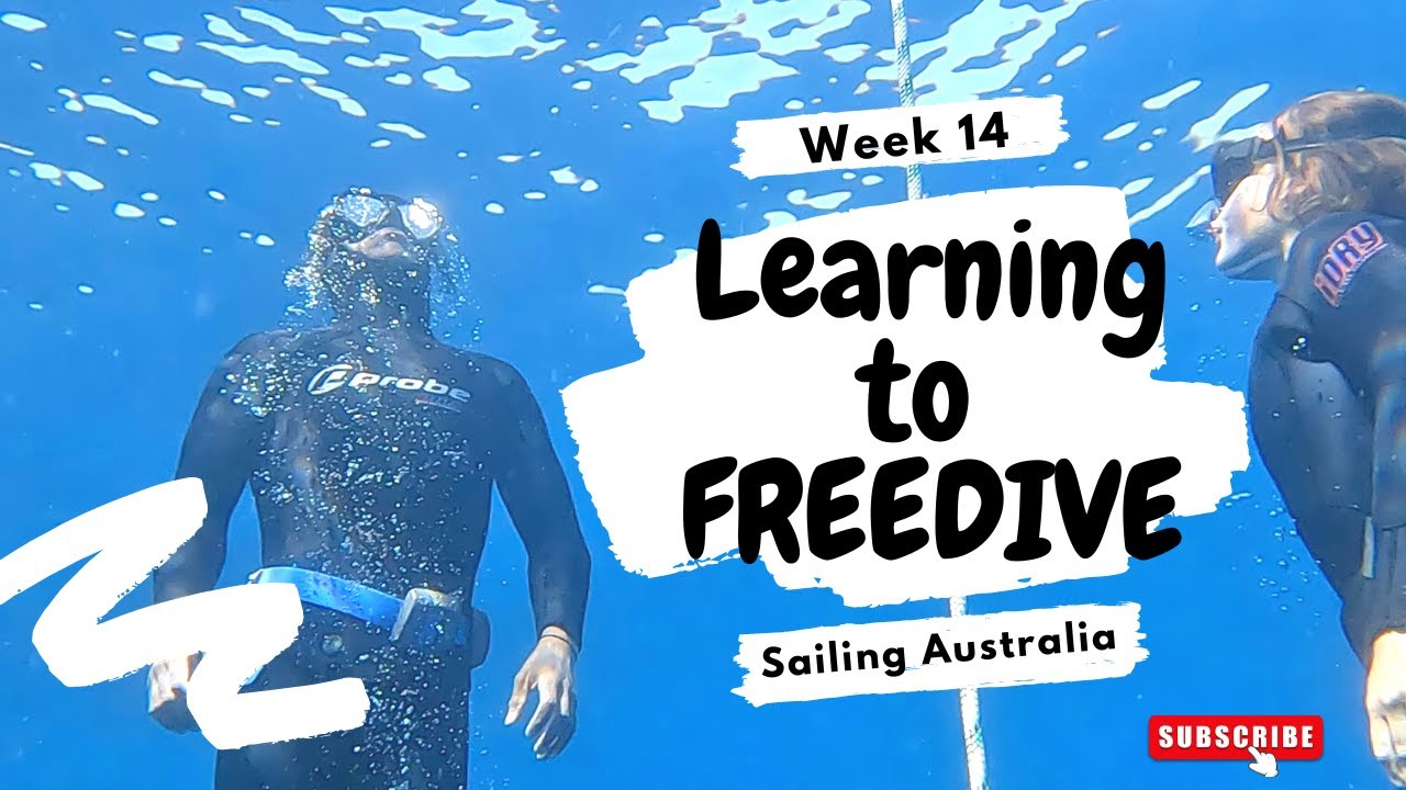 Learning to FREEDIVE + sailing, whales and a taste of vanlife  | Week 14 Aboard Phoenix