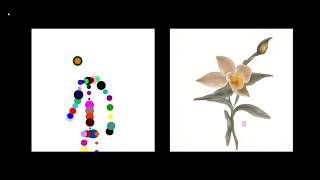 不用本地算力也能跑实时AI？TouchDesigner + StreamDiffusion + 身体追踪全流程
