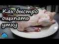 Как ощипать утку с помощью насадки