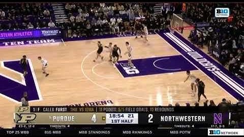 Northwestern Chin Zoom