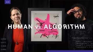 What the world looks like to an algorithm