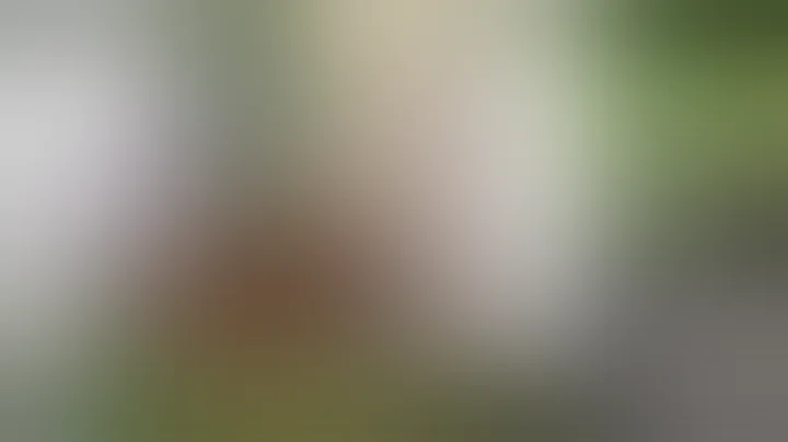 The Truth about FLUSHING your cannabis garden- there is no debate Jito is insane