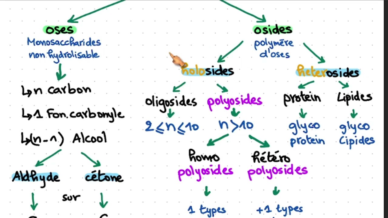 Les Glucides Generality
