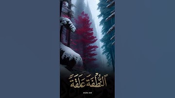 القارئ أنس العمادي