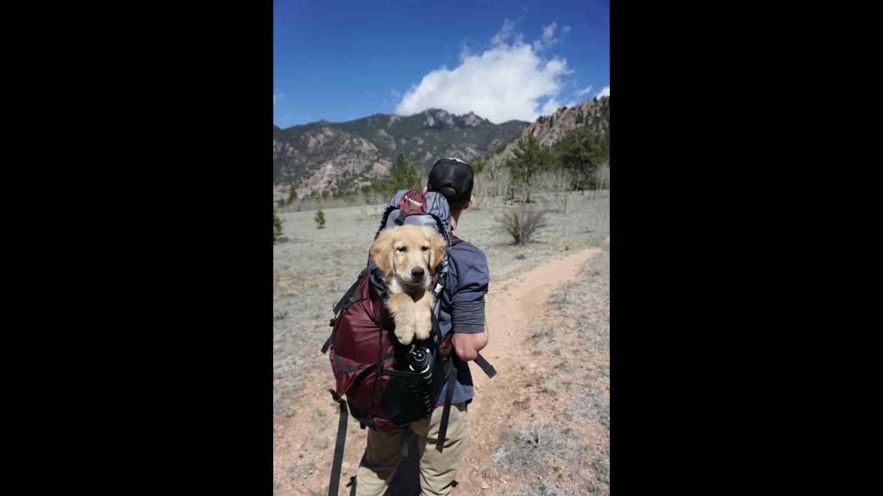 Happy Adventure Background Music