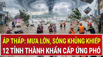 Áp thấp đổ bộ thần tốc, 12 tỉnh thành khẩn cấp ứng phó, cảnh báo nguy hiểm cấp độ cao