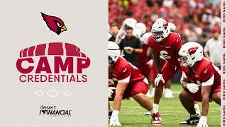 Arizona Cardinals 'Elite' Rushing Attack In Full Force