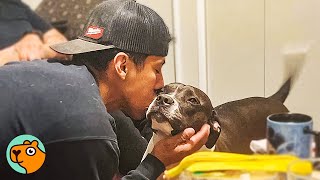 Family Was Terrified Of Pitbulls, Until This Dog Cuddle Buddies