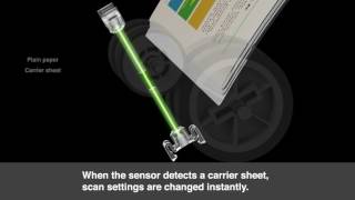 WorkForce DS-780N - Carrier Sheet Detection