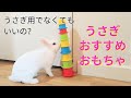 海外流おすすめのうさぎのおもちゃ