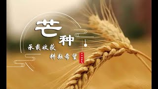 Grain in Ear: Reaping the Harvest and Sowing the Seeds of Hope