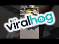 Man Intervenes in Street Cat Standoff || ViralHog