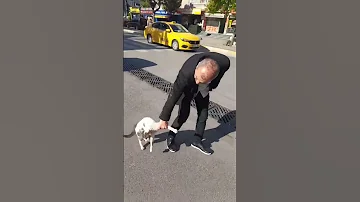 Man Intervenes in Street Cat Standoff || ViralHog