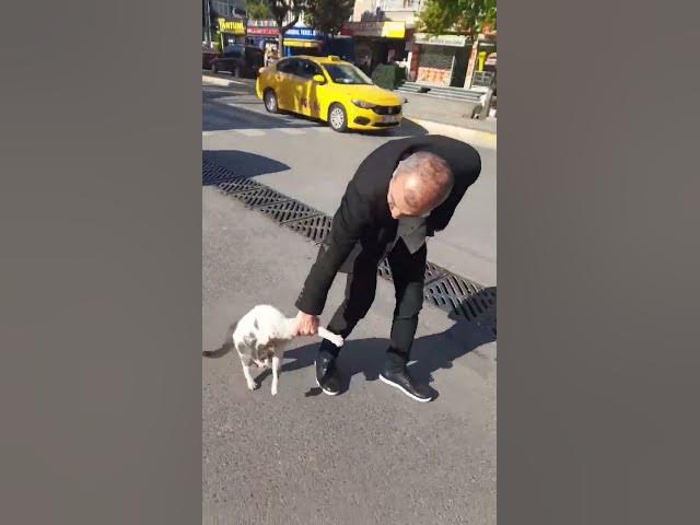 Man Intervenes in Street Cat Standoff || ViralHog