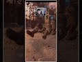 BF6 typical medic run #shorts #shortvideo #bf6gameplay #bf6multiplayer