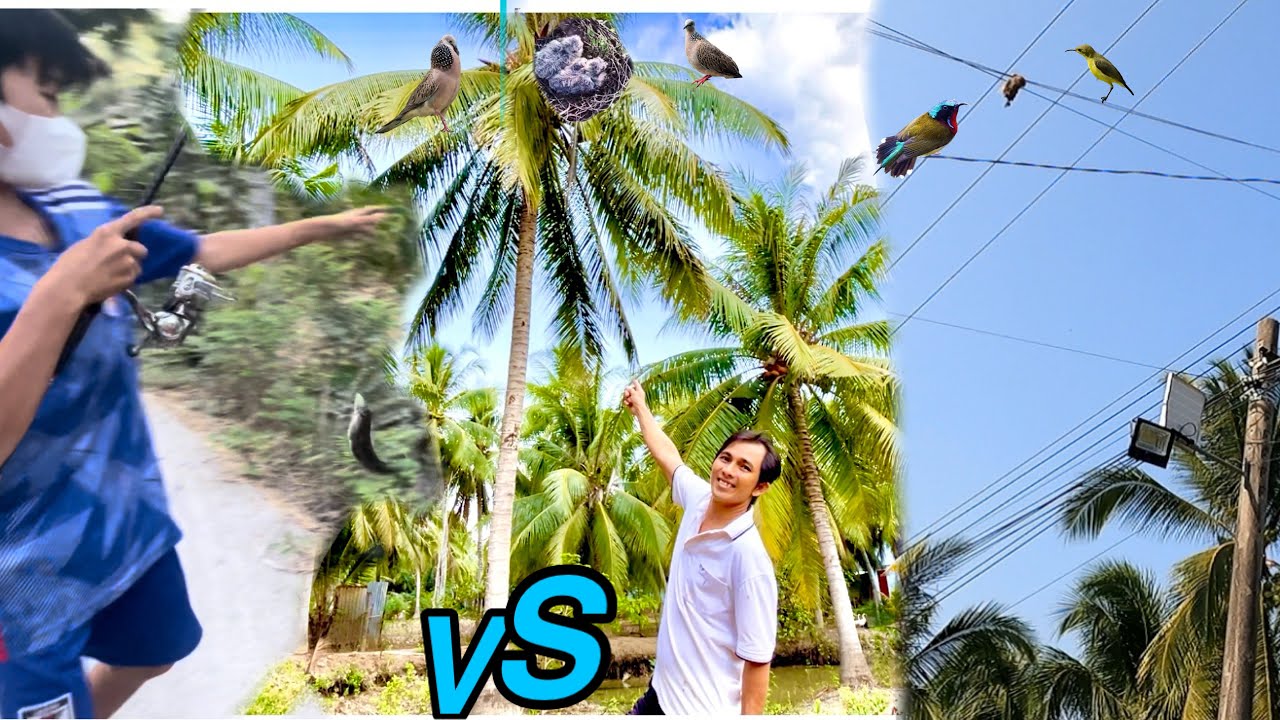 Bốc Thăm Lure Cá Lóc Và Tìm Chim Cảnh Cùng Anh Tư Khải |ATK