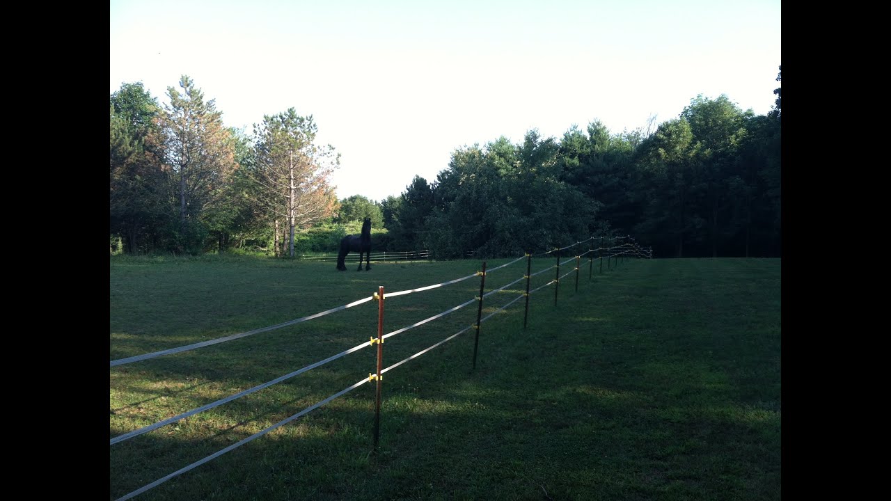 Dirk ten Haaf - Walk in the rain in the woods ......  Lots of water - Too dangerous to cross