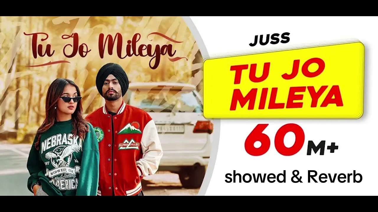 TU JO MILEYA SLOWED REVERB SONG | Lofi songs| loved songs🎵| juss songs.