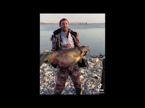 БРАКОНЬЕРЫ ВЕСНОЙ / Самая любимая рыбалка