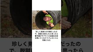 【神回】感情込めてボケてにアフレコしたらヤバすぎたwwww【第2535弾】#shorts