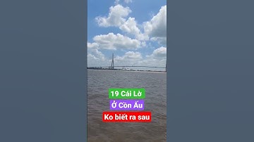 Mong Được 19 Cái Lờ Ở Cồn Ấu Trúng Mánh. Looking forward to 19 Fishes with Lots of Fish