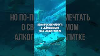 Чем заменить алкоголь когда бросил пить лечениеалкоголизма броситьпить