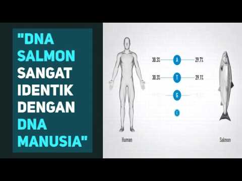 FOREVERSKiN why DNA Salmon? here is the answer.