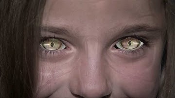 neZuro Feeler Trailer #1 - "He was not pleased"