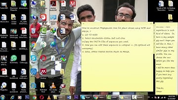 Phylogenetic tree  of Plants viruses using NCBI and MEGA 7