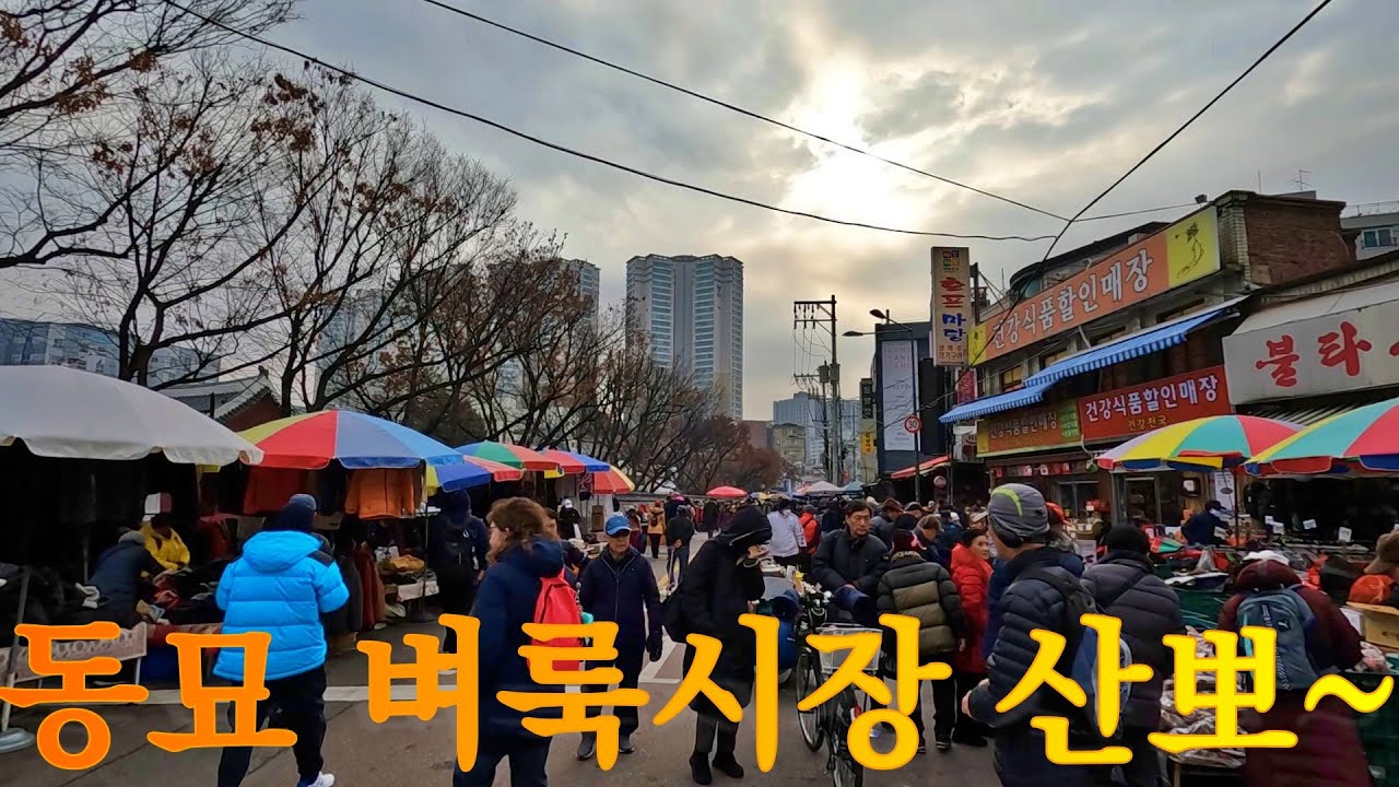 [동묘] 동묘 벼룩 시장 산뽀~ 