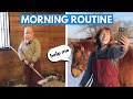 Morning routine of an equestrian  parody 