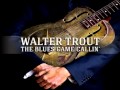 Walter Trout -  Willie