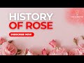 History of rose  fact expedition